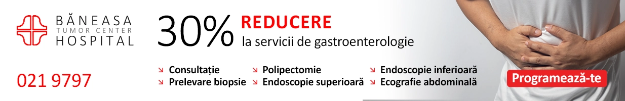 Banner Gastro 1234x200px